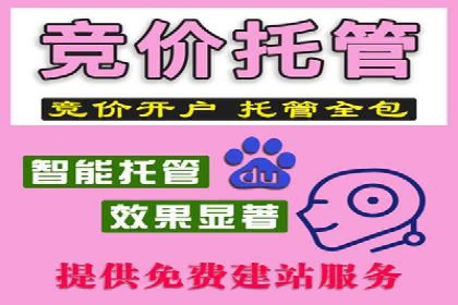 SEM服务公司助力电商增长案例